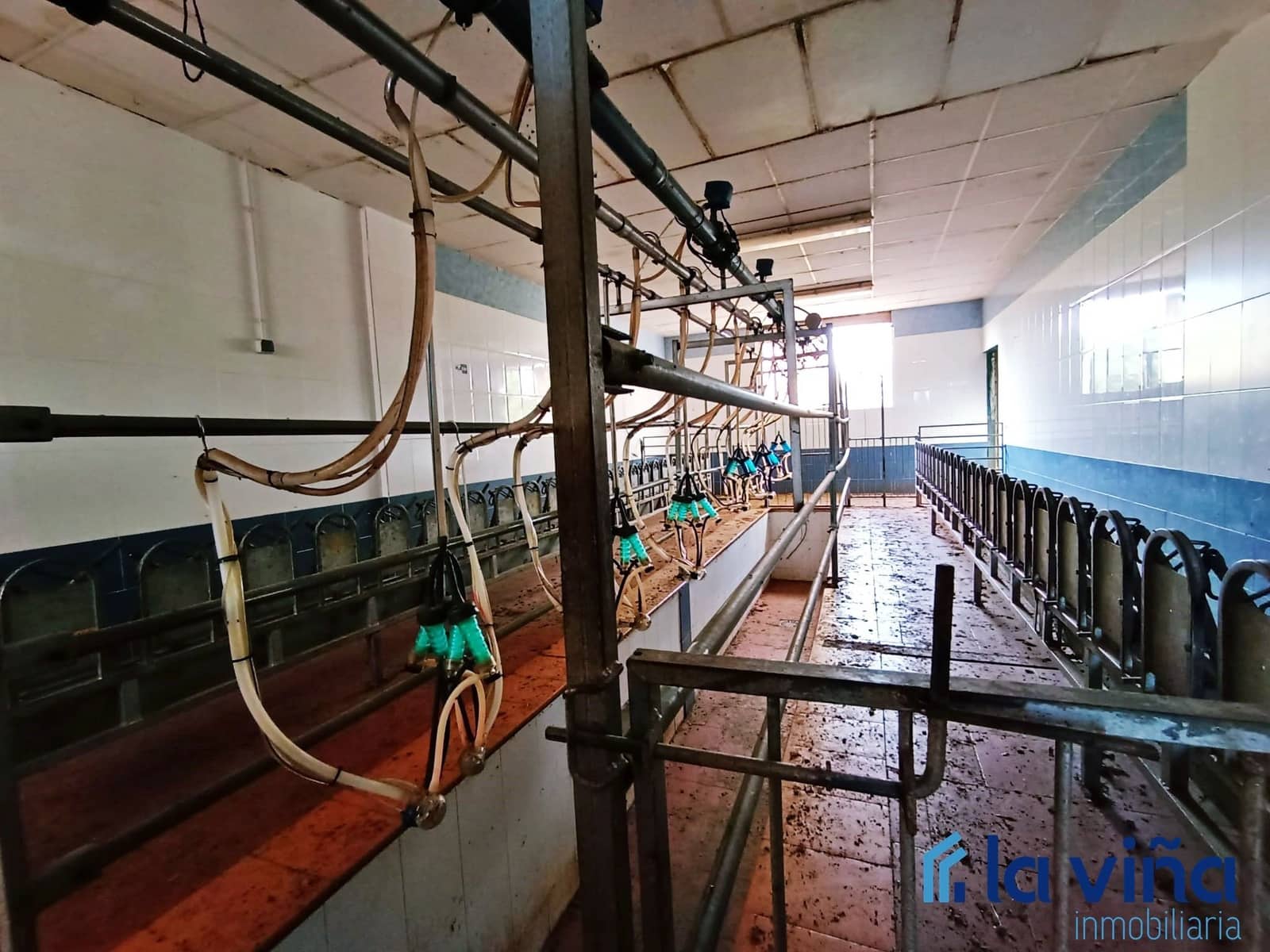 3 sypialnia Finka/Dom wiejski na sprzedaż w Mollina - 420 000 € (Ref: 8066869)