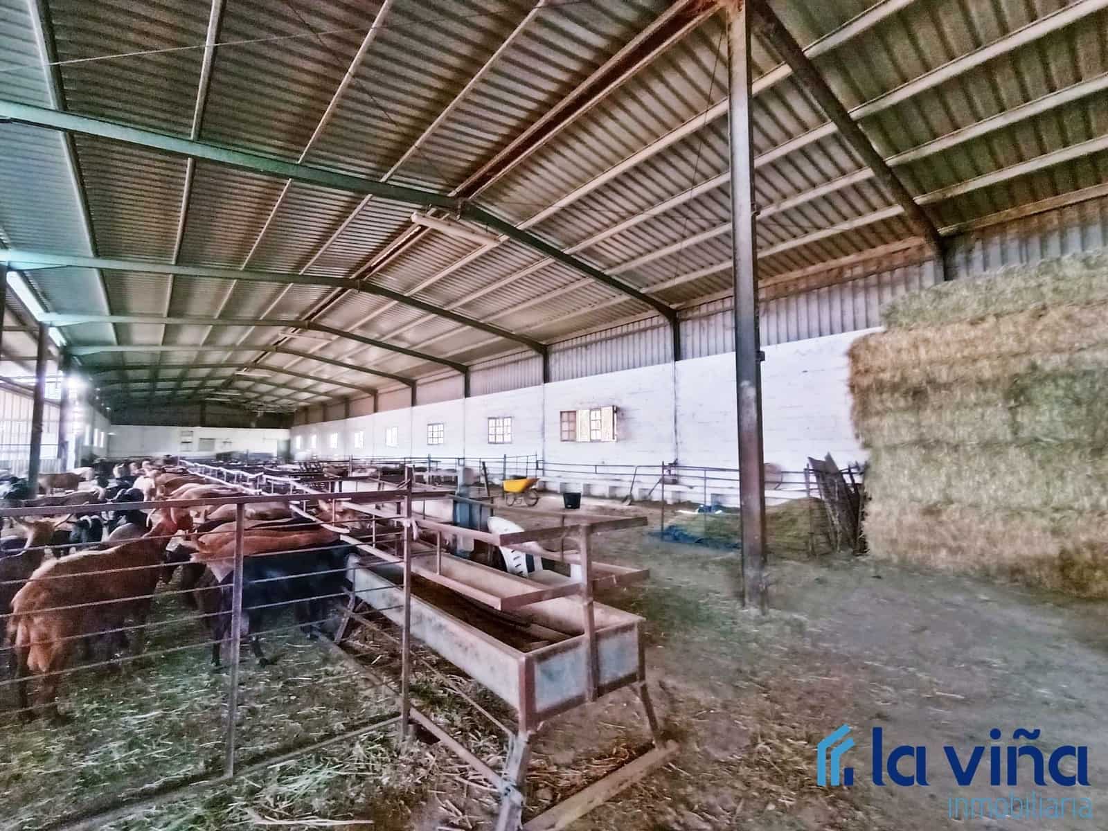 3 sypialnia Finka/Dom wiejski na sprzedaż w Mollina - 420 000 € (Ref: 8066869)