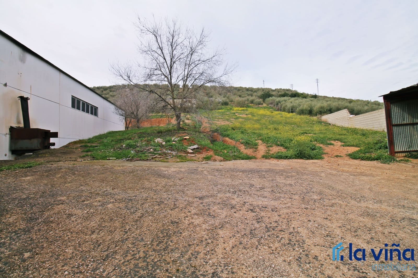 Commerciale in vendita in Alameda - 405.000 € (Rif: 8093533)