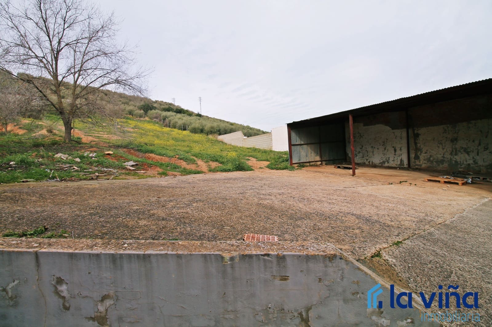 Commerciale in vendita in Alameda - 405.000 € (Rif: 8093533)