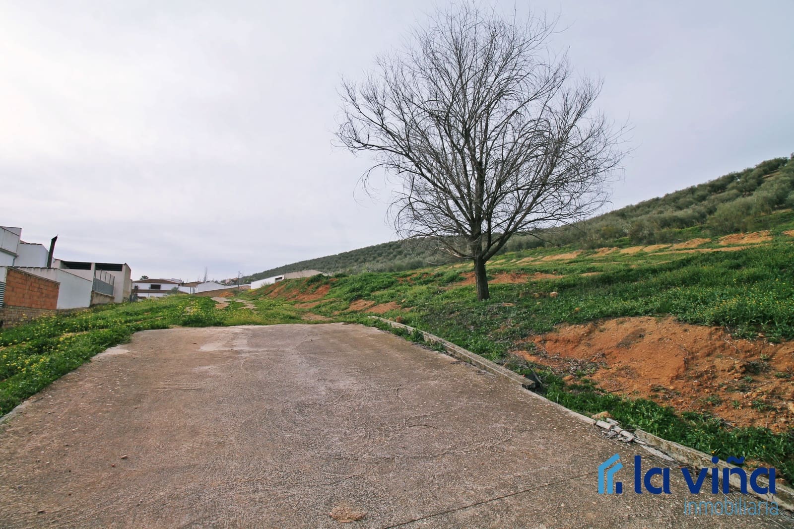 Commerciale in vendita in Alameda - 405.000 € (Rif: 8093533)