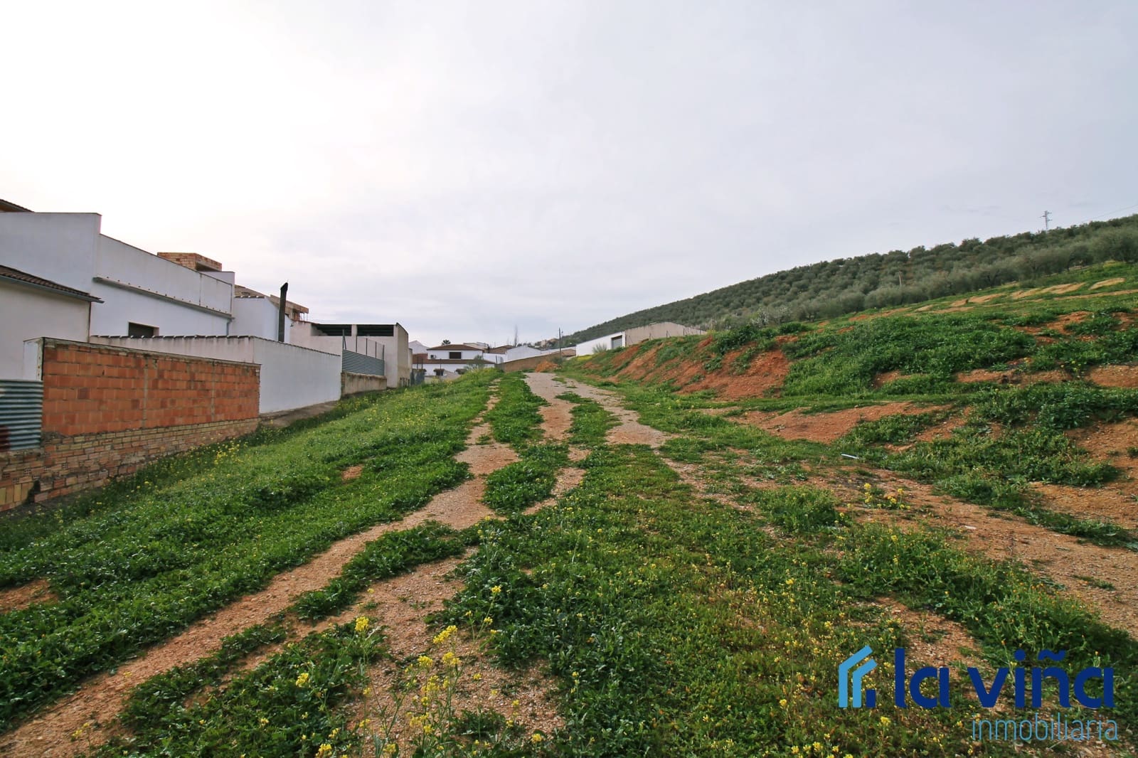 Commerciale in vendita in Alameda - 405.000 € (Rif: 8093533)