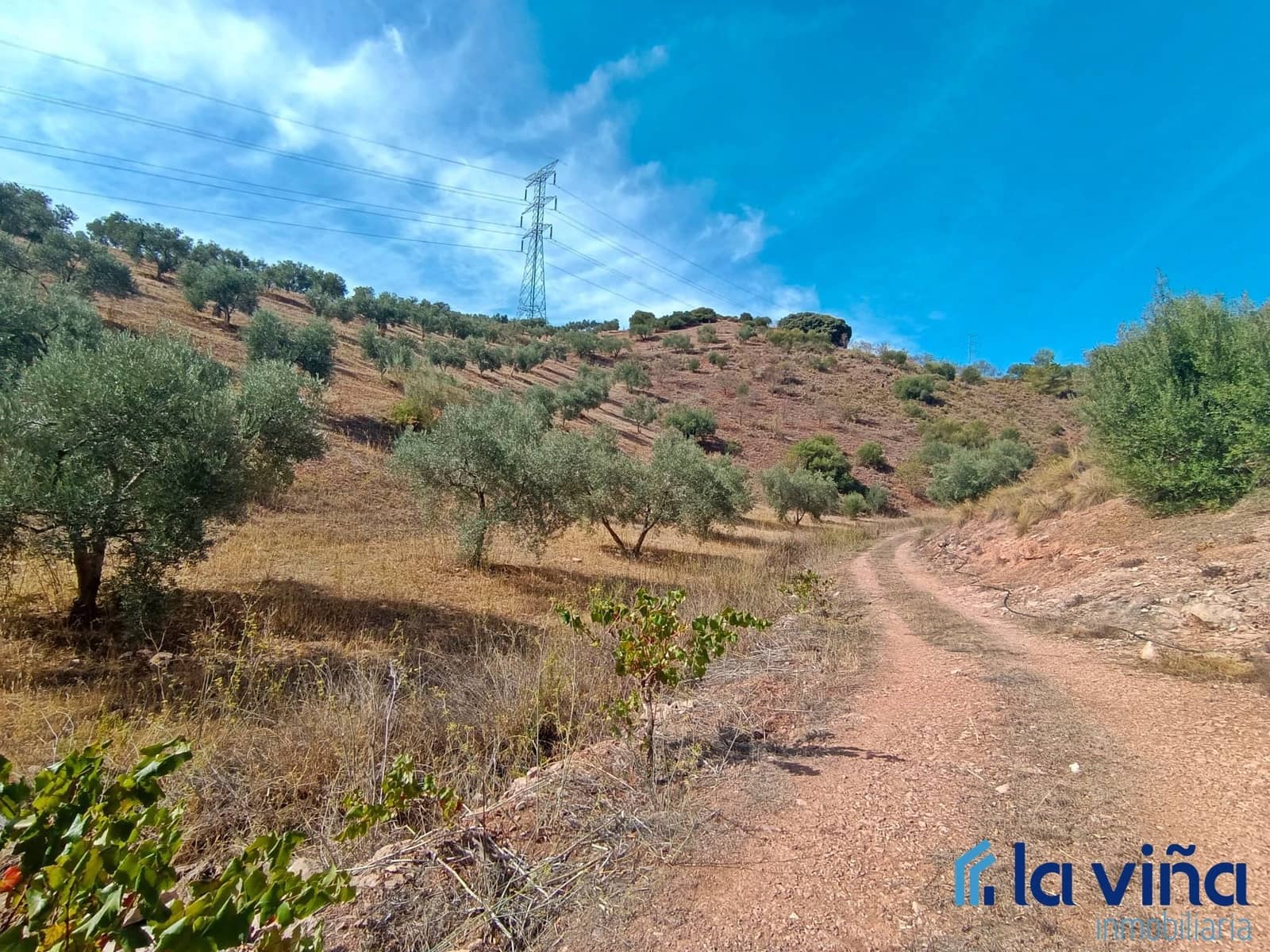 3 soverom Finca/Herregård til salgs i El Burgo med svømmebasseng garasje - € 231 900 (Ref: 8142430)