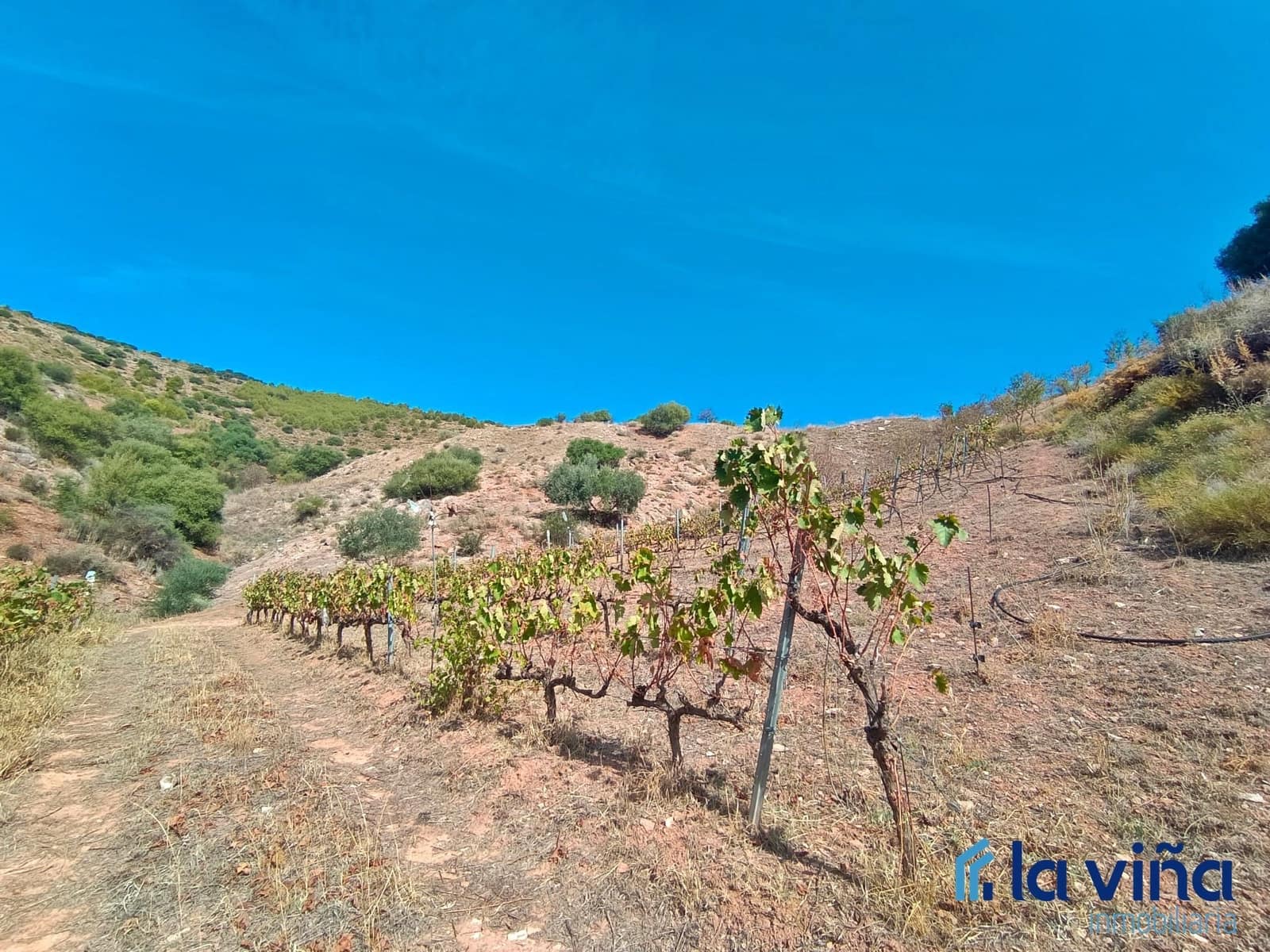 3 soverom Finca/Herregård til salgs i El Burgo med svømmebasseng garasje - € 231 900 (Ref: 8142430)