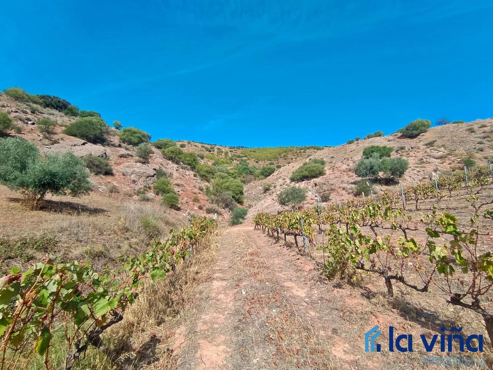 3 soverom Finca/Herregård til salgs i El Burgo med svømmebasseng garasje - € 231 900 (Ref: 8142430)