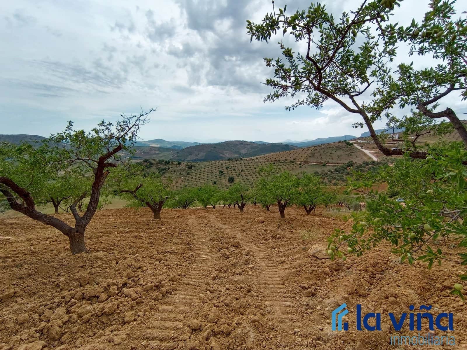 Finca/Country House for sale in Casabermeja - € 64,900 (Ref: 8142445)