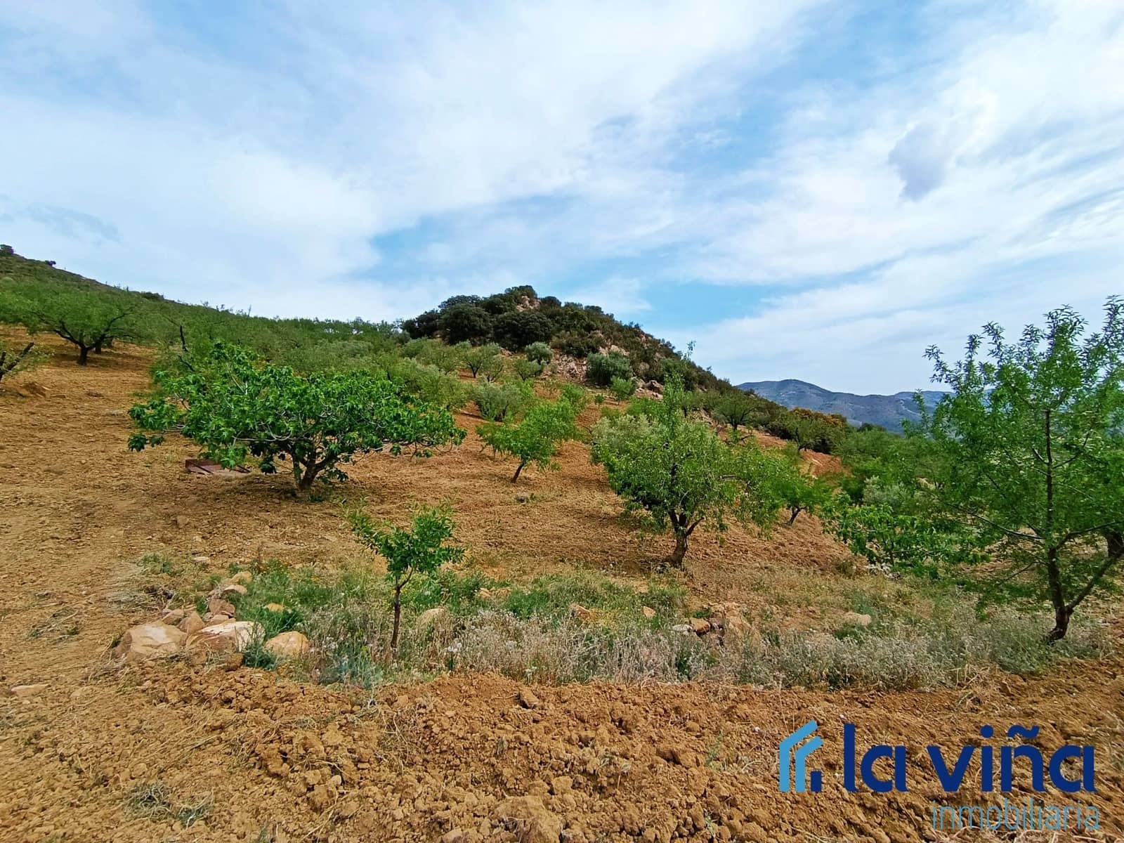 Finca/Country House for sale in Casabermeja - € 64,900 (Ref: 8142445)