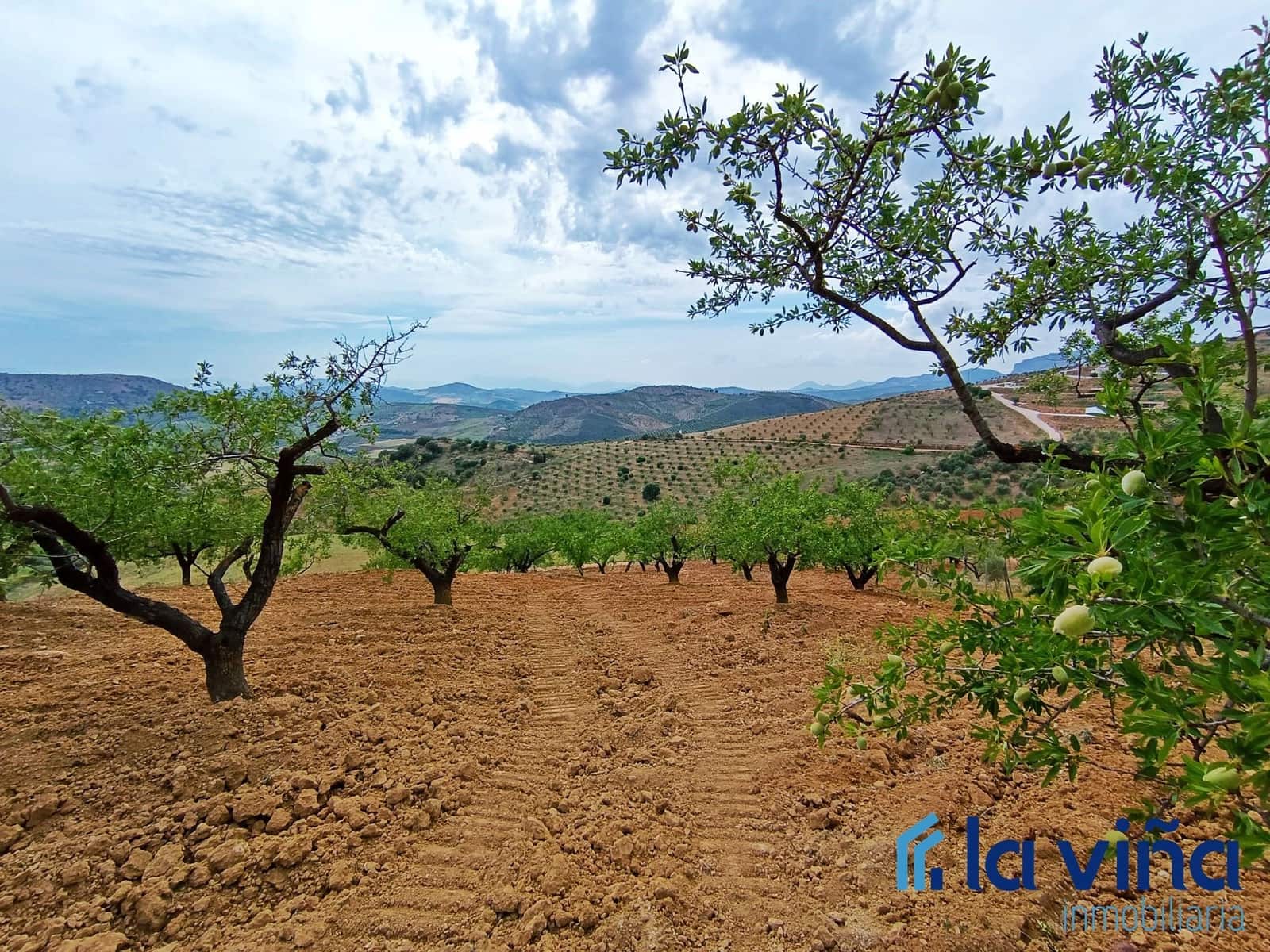 Finca/Country House for sale in Casabermeja - € 64,900 (Ref: 8142445)