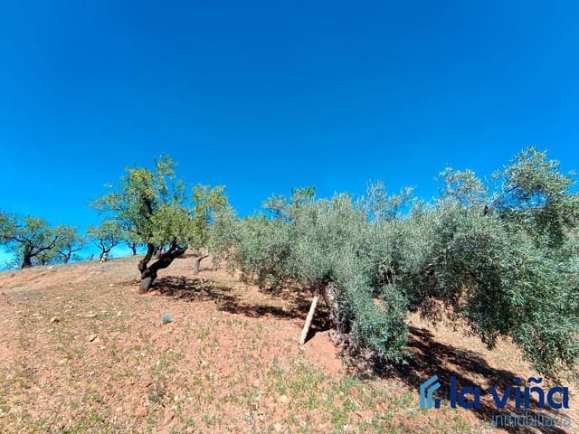 Finca/Landehus til salg i Casabermeja - € 100.000 (Ref: 8142449)