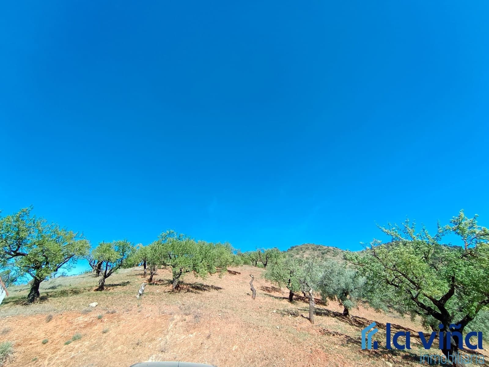 Finca/Country House for sale in Casabermeja - € 100,000 (Ref: 8142449)