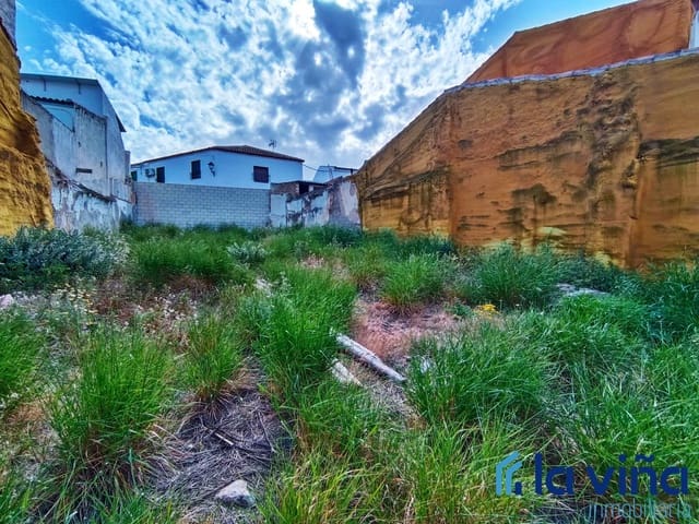 Building Plot for sale in Fuente de Piedra - € 60,000 (Ref: 8142453)