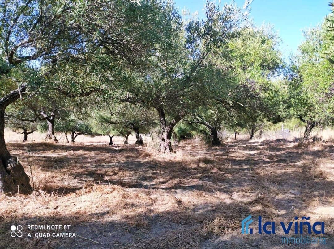 Byggegrund til salg i Jimera de Libar - € 95.000 (Ref: 8142494)