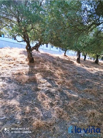 Byggetomt til salgs i Jimera de Líbar - € 95 000 (Ref: 8142494)