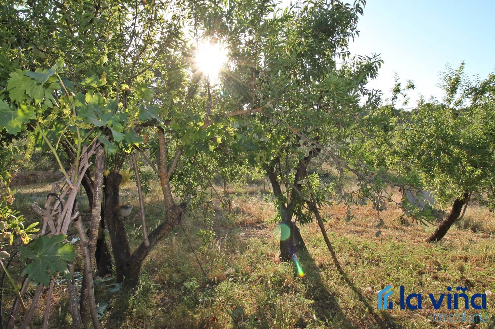 2 soverom Villa til salgs i Archidona med svømmebasseng garasje - € 195 000 (Ref: 8341831)