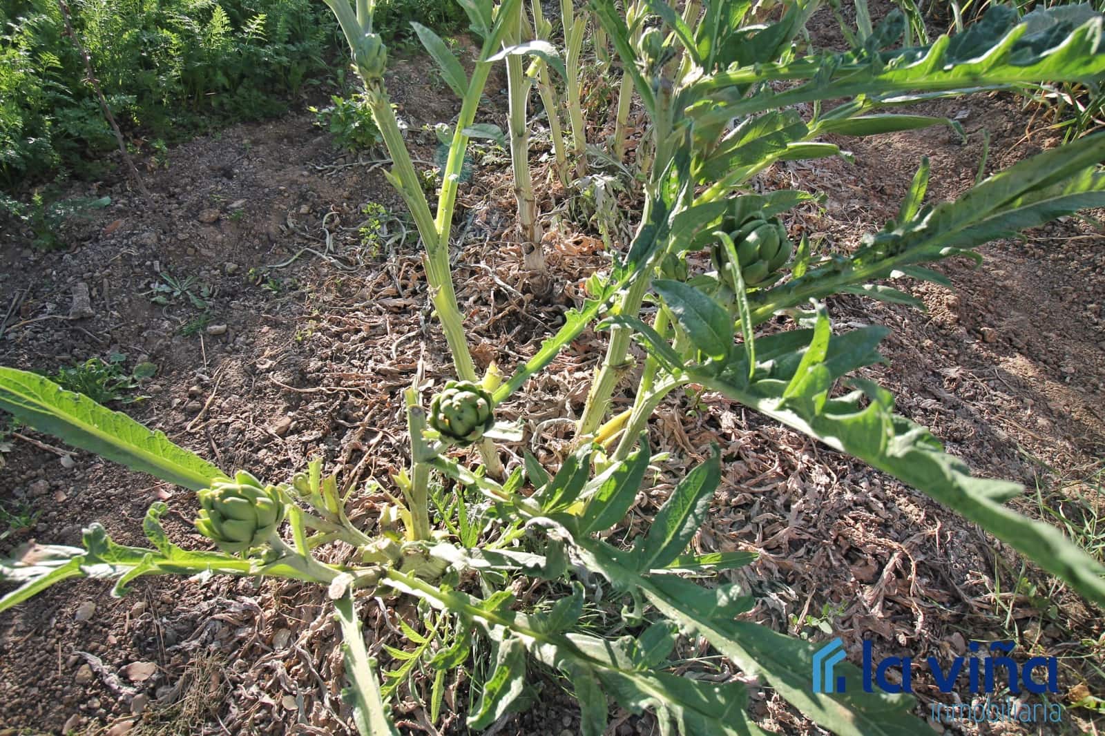 2 soverom Villa til salgs i Archidona med svømmebasseng garasje - € 195 000 (Ref: 8341831)