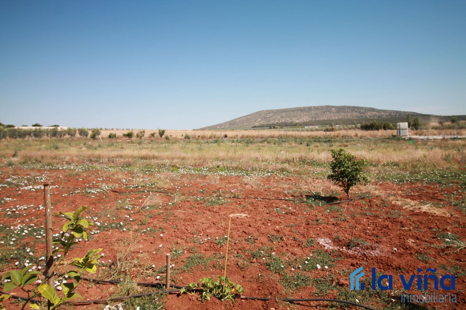 Finca/Herregård til salgs i Mollina - € 84 900 (Ref: 8342384)