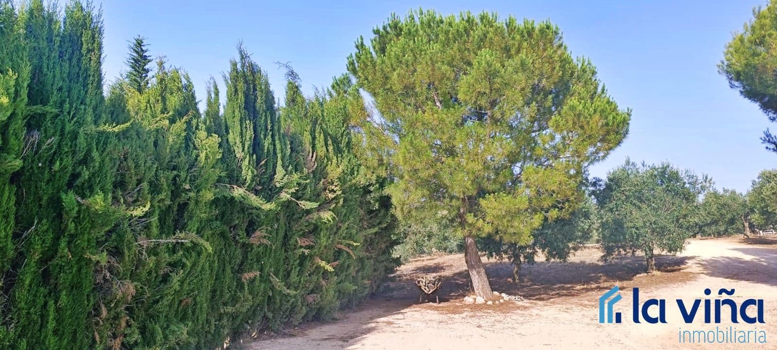Finca/Landehus til salg i Antequera - € 550.000 (Ref: 8411040)