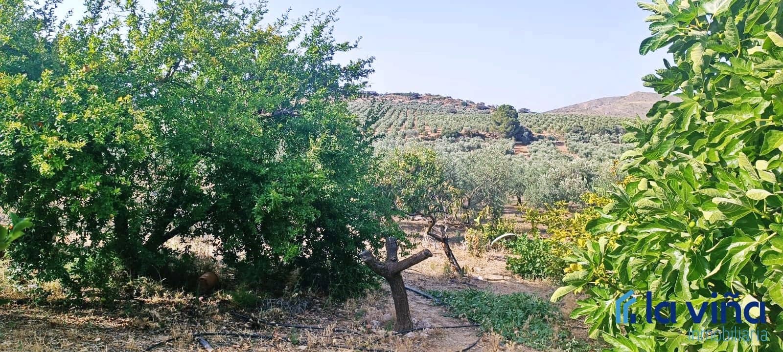 Finca/Landehus til salg i Antequera - € 550.000 (Ref: 8411040)