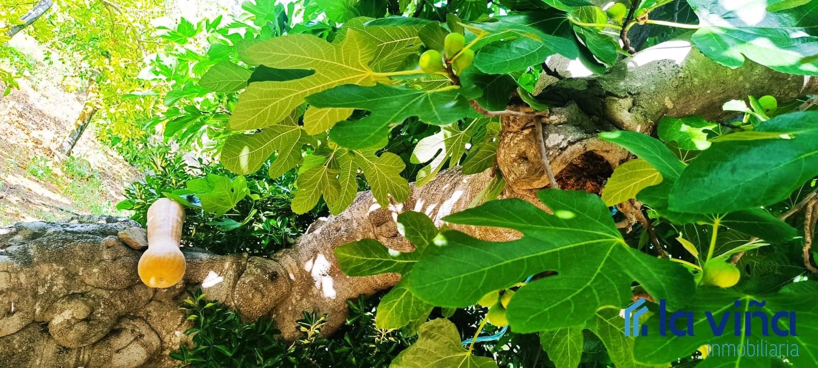 Finca/Landehus til salg i Antequera - € 550.000 (Ref: 8411040)