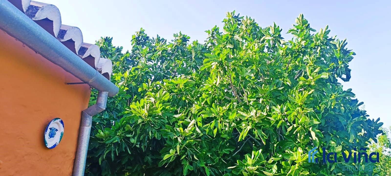 Finca/Landehus til salg i Antequera - € 550.000 (Ref: 8411040)