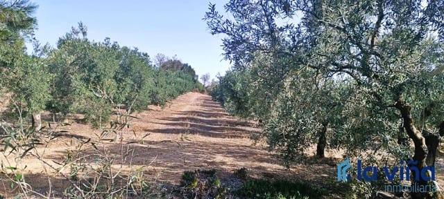 Finca/Landehus til salg i Antequera - € 550.000 (Ref: 8411040)