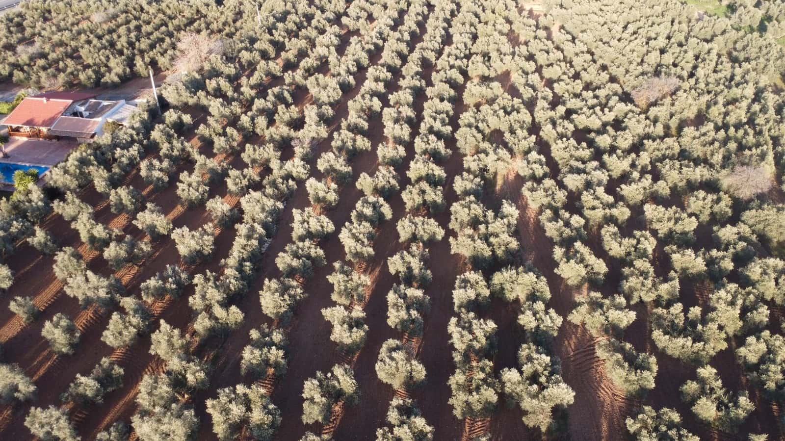 Finca/Landehus til salg i Antequera - € 250.000 (Ref: 8765812)