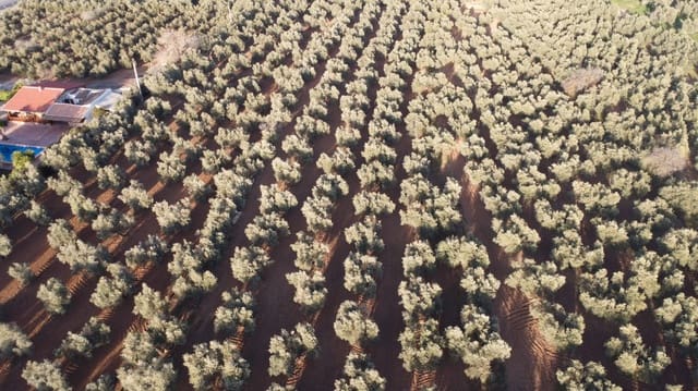 Finca/Landehus til salg i Antequera - € 250.000 (Ref: 8765812)