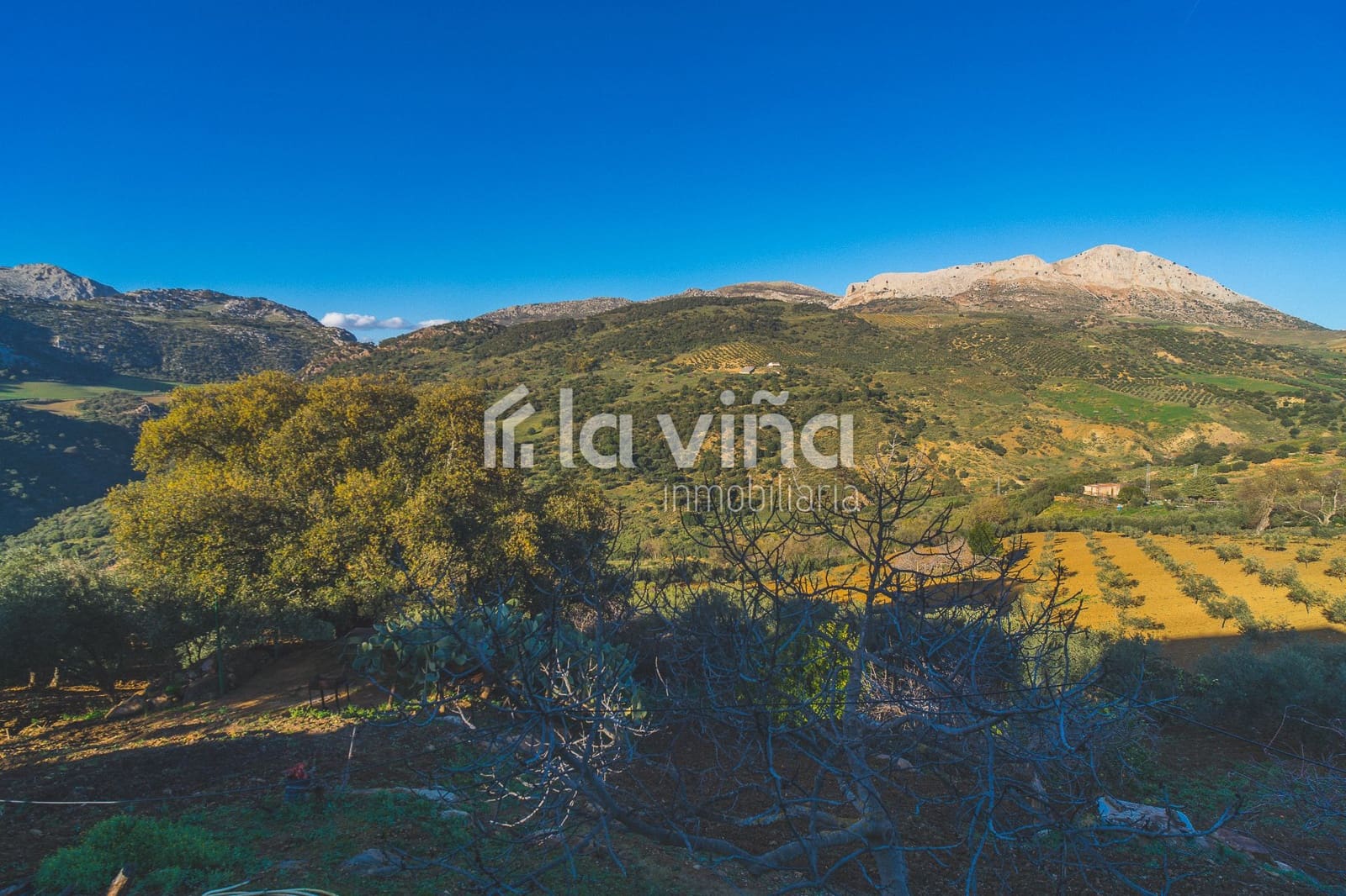 Finca/Landehus til salg i Antequera - € 181.000 (Ref: 8771044)
