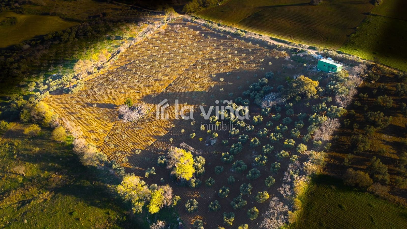 Finca/Landehus til salg i Antequera - € 181.000 (Ref: 8771044)