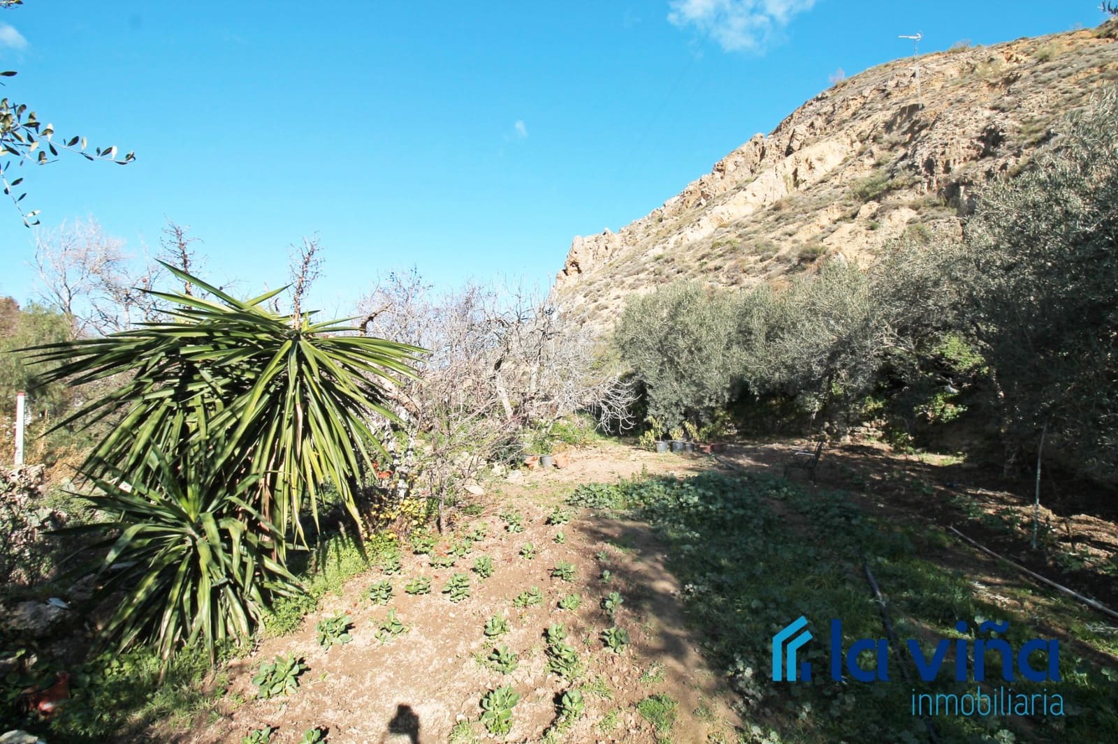 4 soveværelse Finca/Landehus til salg i Nivar - € 240.000 (Ref: 8774074)