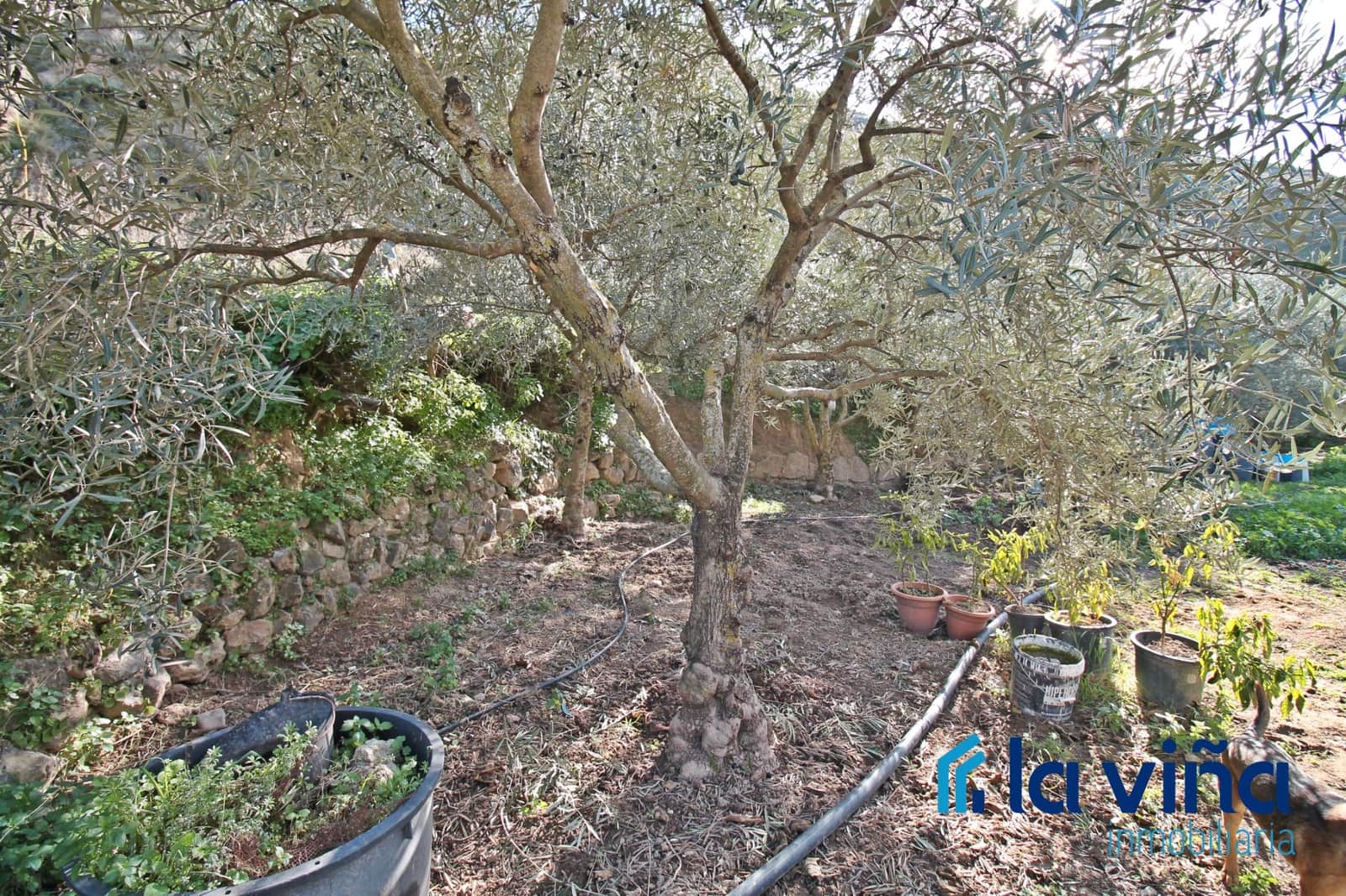 4 soveværelse Finca/Landehus til salg i Nivar - € 240.000 (Ref: 8774074)