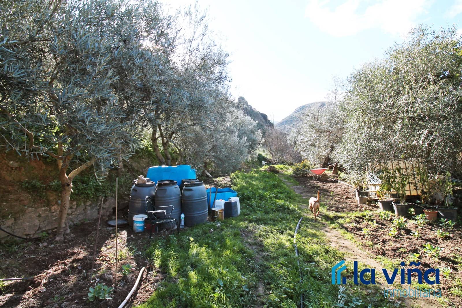 4 soveværelse Finca/Landehus til salg i Nivar - € 240.000 (Ref: 8774074)