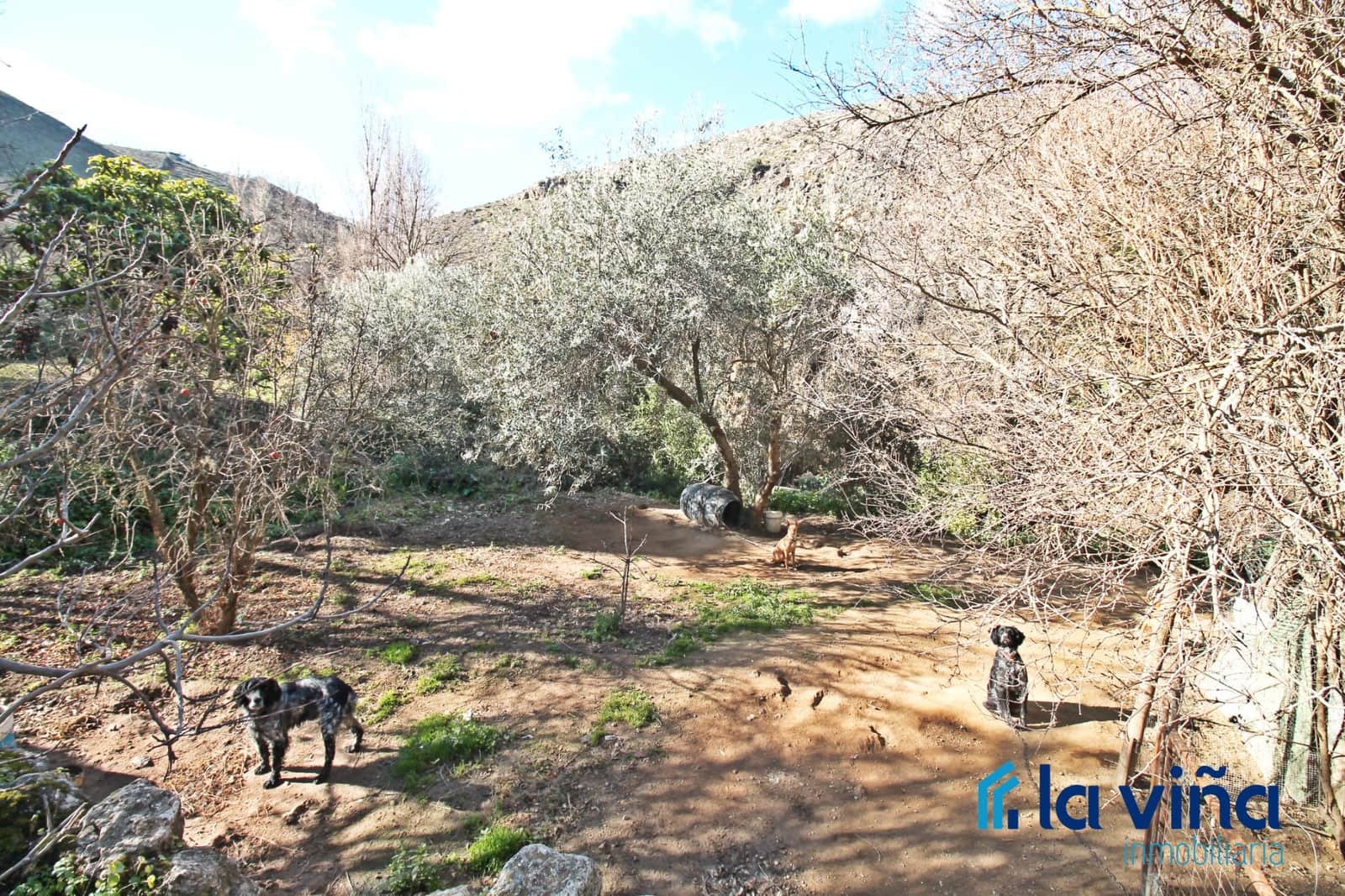 4 soveværelse Finca/Landehus til salg i Nivar - € 240.000 (Ref: 8774074)