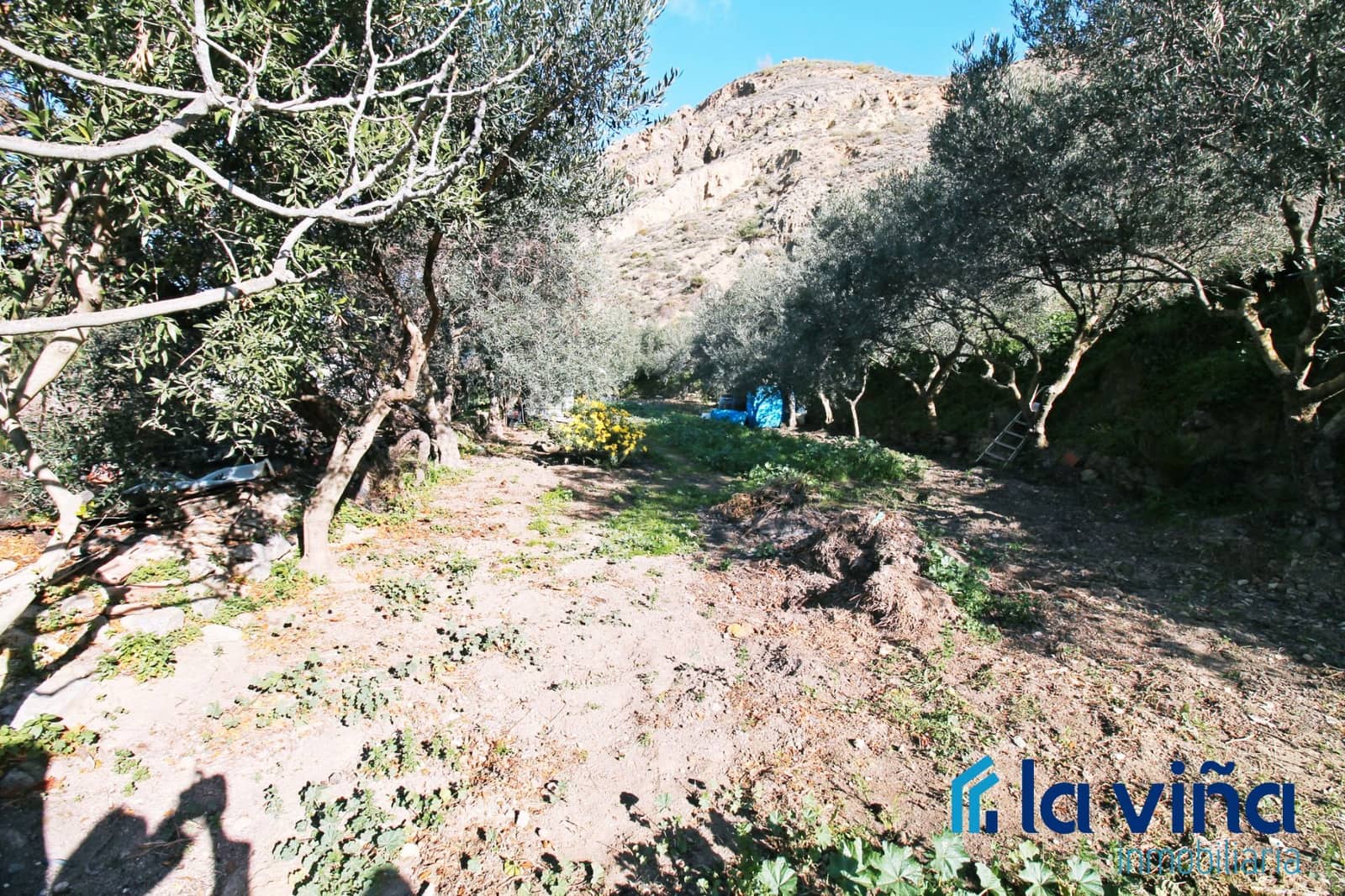 4 soveværelse Finca/Landehus til salg i Nivar - € 240.000 (Ref: 8774074)