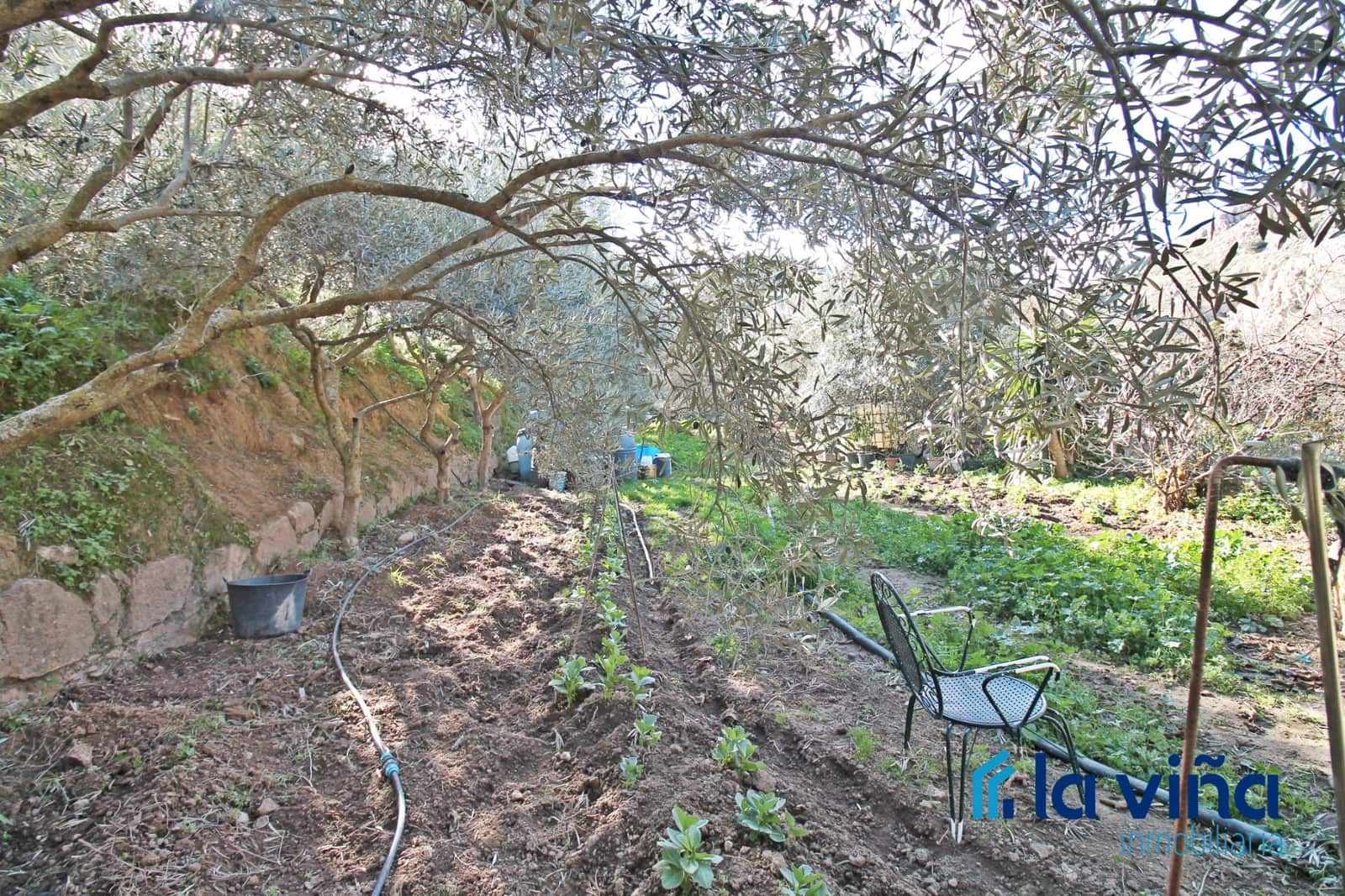 4 soveværelse Finca/Landehus til salg i Nivar - € 240.000 (Ref: 8774074)