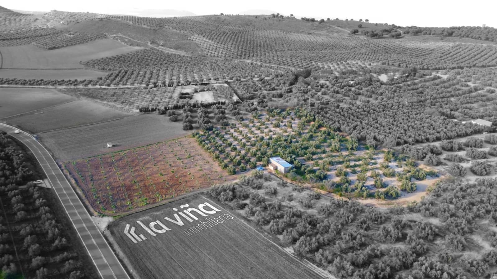 Finca/Herregård til salgs i Valle de Abdalajis - € 128 500 (Ref: 8774946)