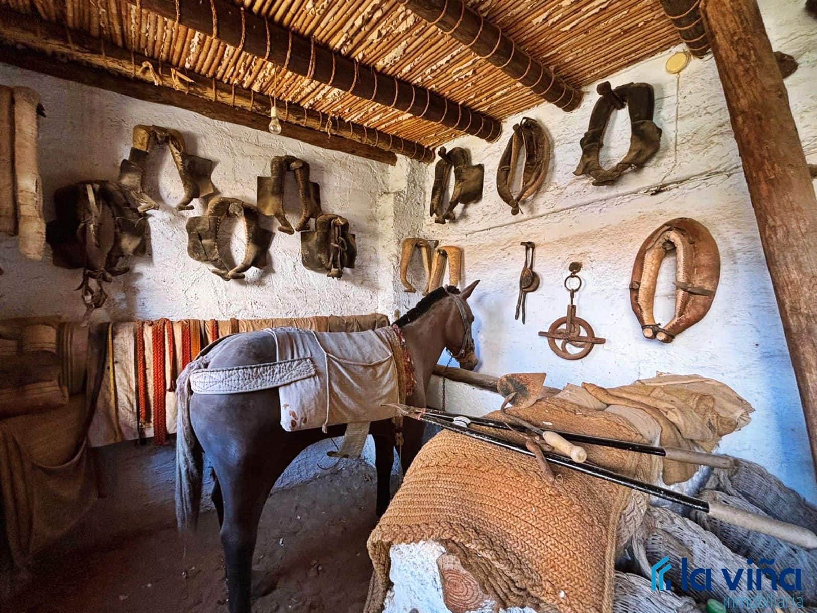 Ruin til salg i Alameda - € 147.000 (Ref: 8838160)