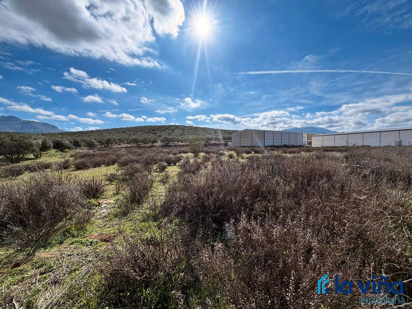 Terrain à Bâtir à vendre à Villanueva del Trabuco - 157 000 € (Ref: 8848626)