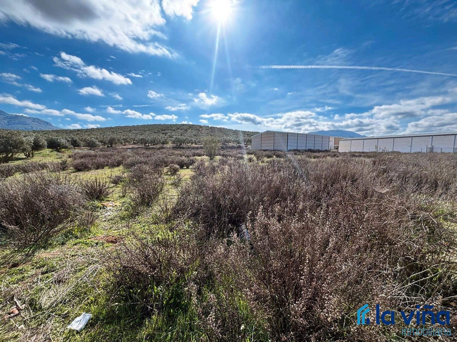 Terrain à Bâtir à vendre à Villanueva del Trabuco - 157 000 € (Ref: 8848626)