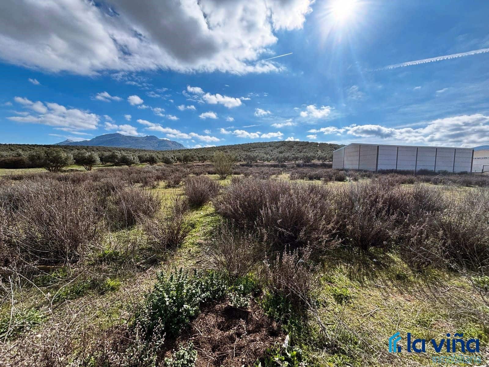 Terrain à Bâtir à vendre à Villanueva del Trabuco - 157 000 € (Ref: 8848626)