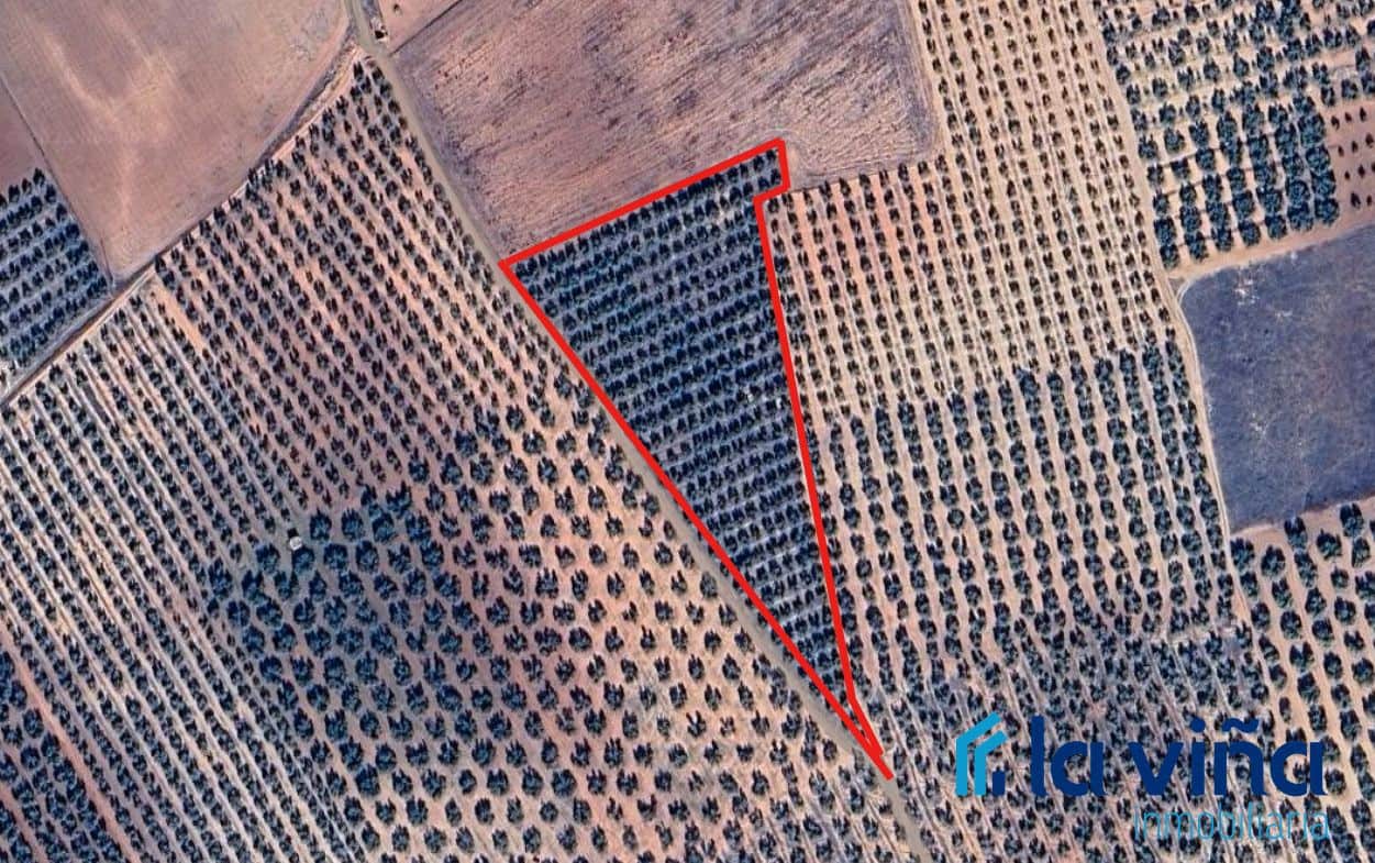 Grunde uden byggetilladelser til salg i Fuente de Piedra - € 160.000 (Ref: 8925123)