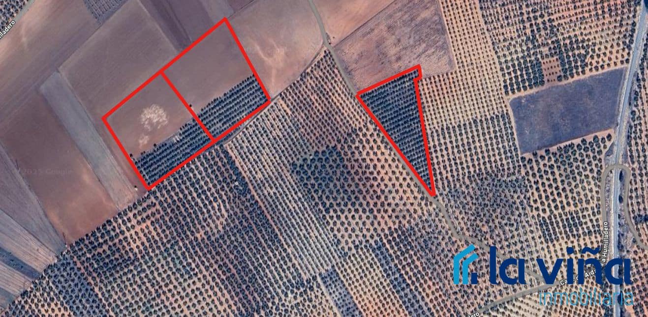 Grunde uden byggetilladelser til salg i Fuente de Piedra - € 160.000 (Ref: 8925123)