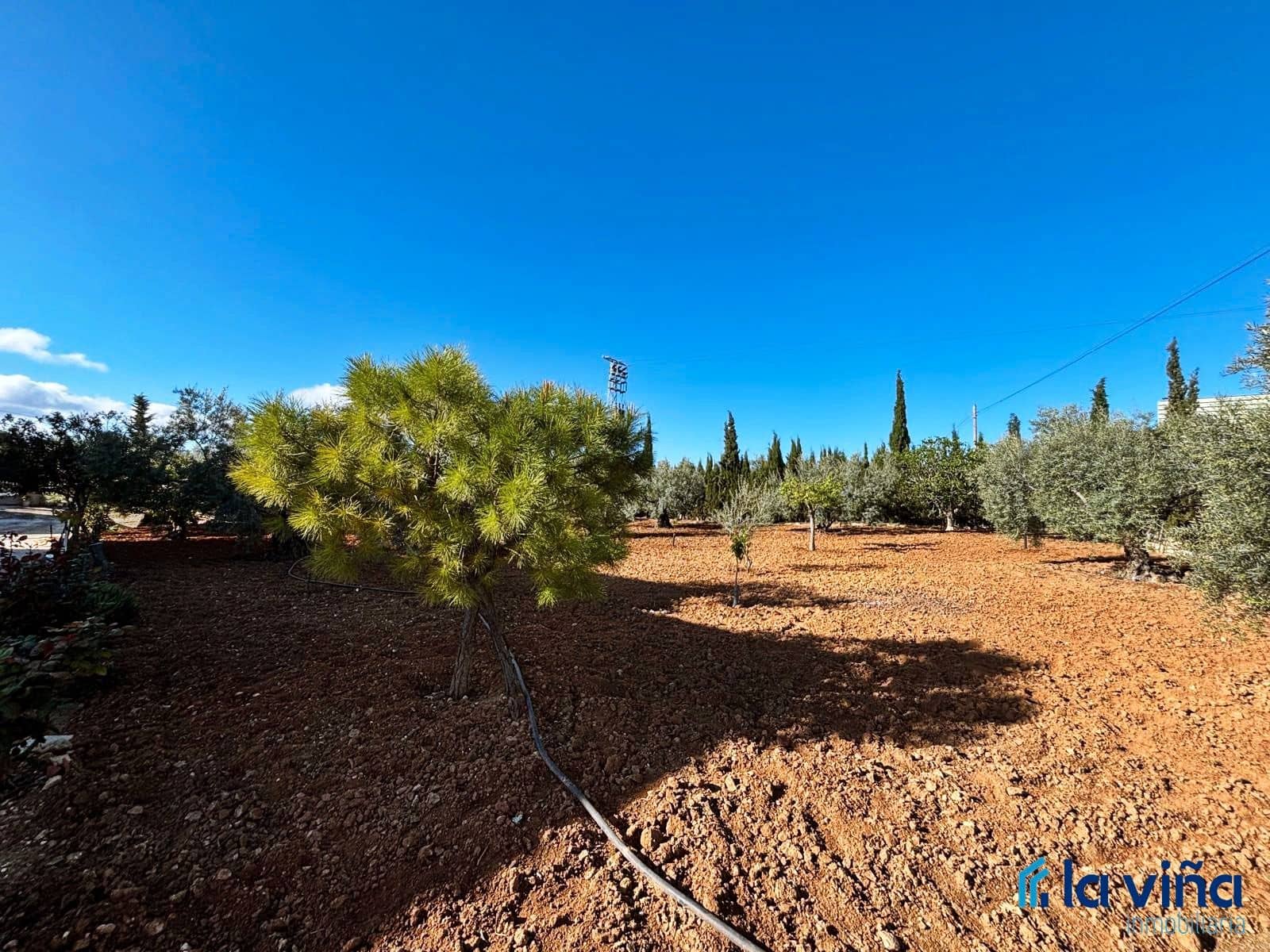 5 soveværelse Villa til salg i Casariche med swimmingpool garage - € 425.000 (Ref: 8936393)