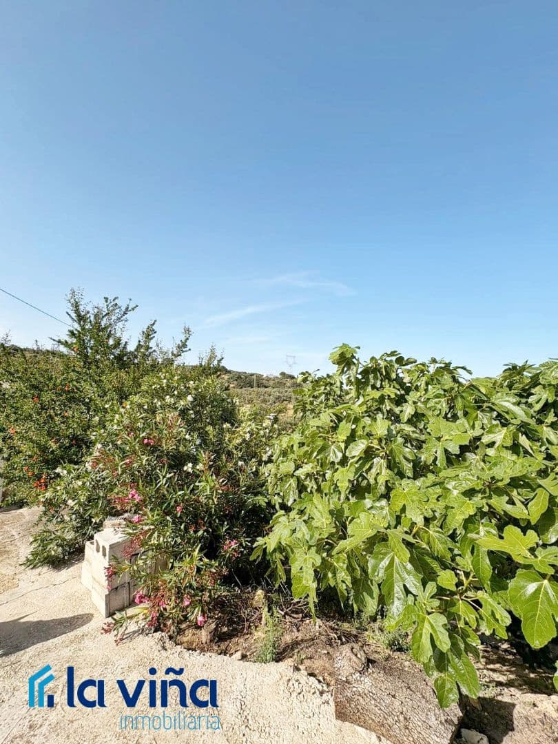 Finca/Landhuis te koop in Priego de Cordoba - € 350.000 (Ref: 9028715)