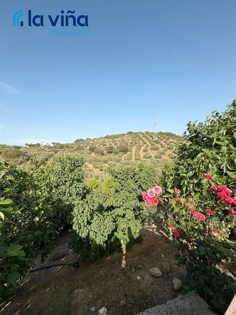 Finca/Landhuis te koop in Priego de Cordoba - € 350.000 (Ref: 9028715)