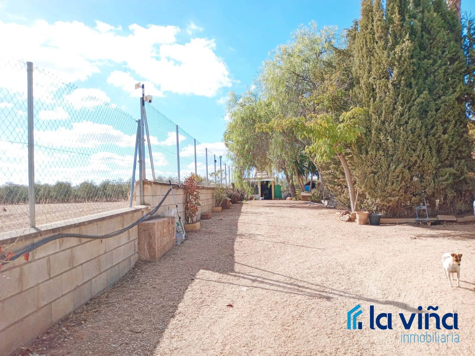 Finca/Landehus til salg i Sierra de Yeguas - € 220.000 (Ref: 9064817)