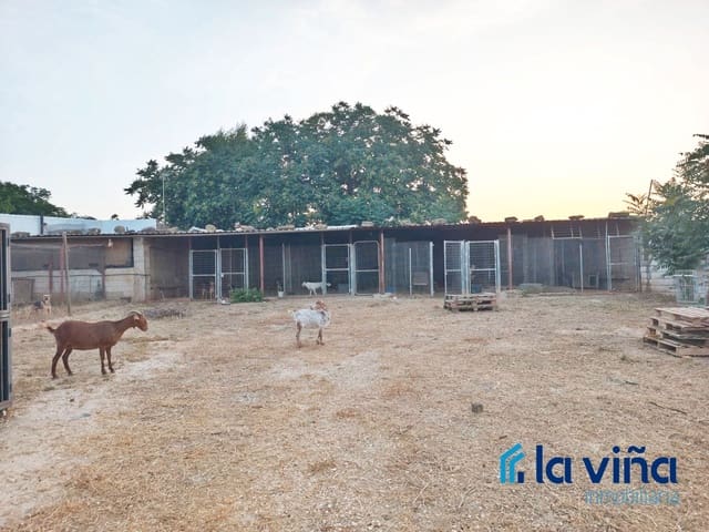 Finca/Herregård til salgs i Sierra de Yeguas - € 220 000 (Ref: 9064817)