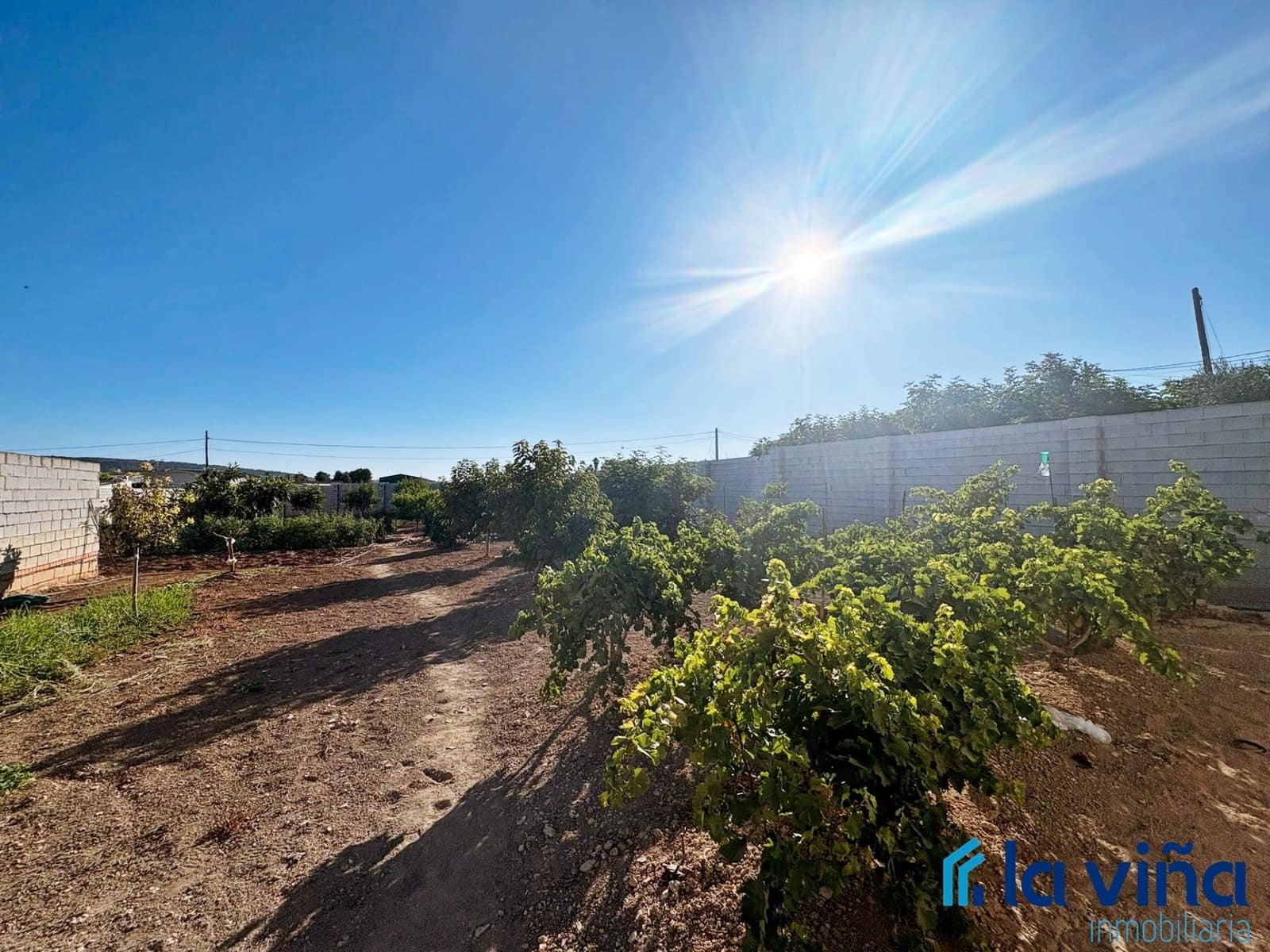 Finca/Maison de Campagne à vendre à Mollina - 125 000 € (Ref: 9142251)