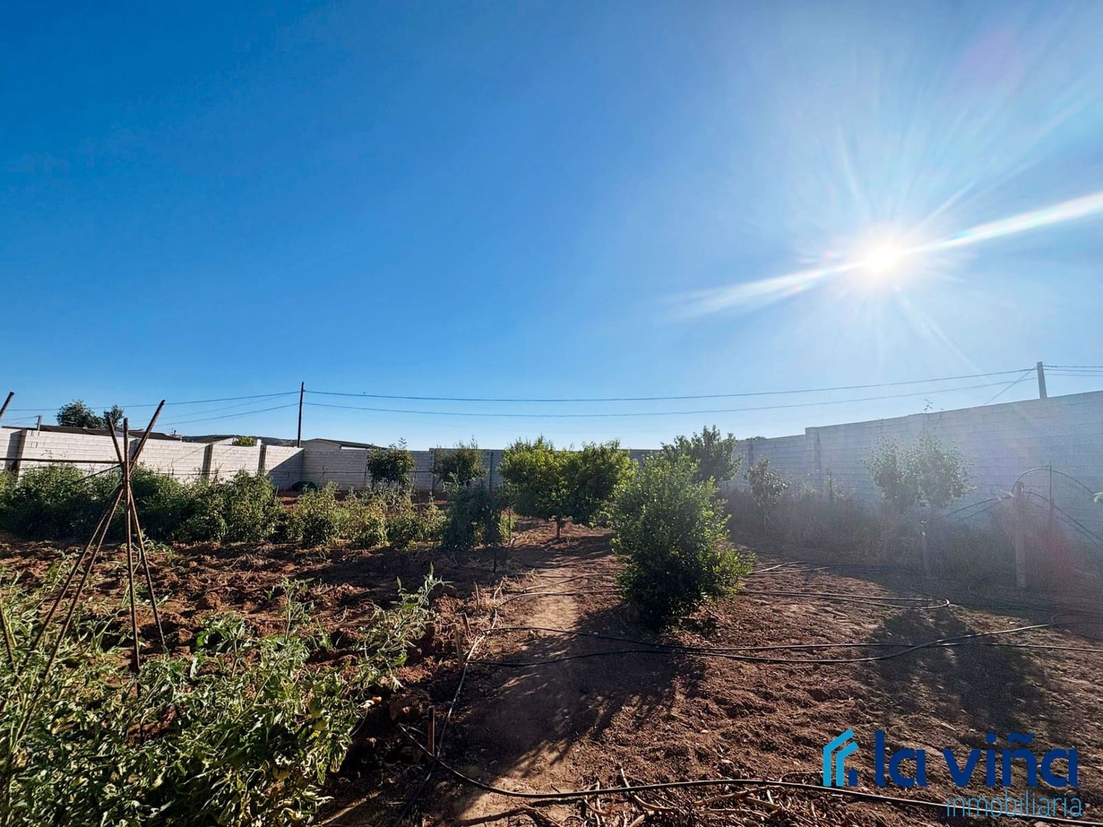 Finca/Maison de Campagne à vendre à Mollina - 125 000 € (Ref: 9142251)