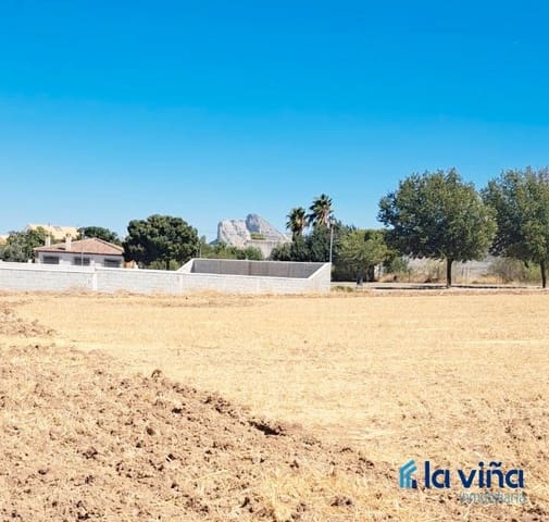 Rakentamaton maa myytävänä paikassa Antequera - 325 000 € (Ref: 9235876)